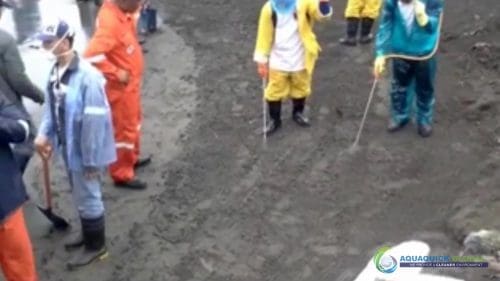 AQUAQUICK 2000 Rosario Cavite oil spill cleanup Au 028