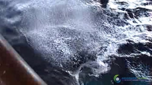 AQUAQUICK 2000 Sea Oil Spill Rig Cleaning Demo 1 041