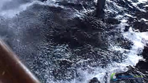 AQUAQUICK 2000 Sea Oil Spill Rig Cleaning Demo 1 045