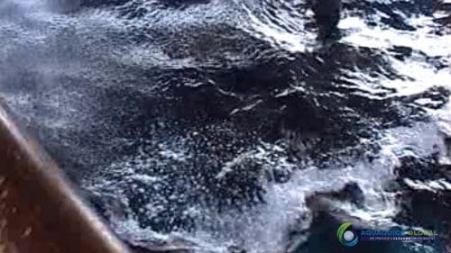 AQUAQUICK 2000 Sea Oil Spill Rig Cleaning Demo 1 047