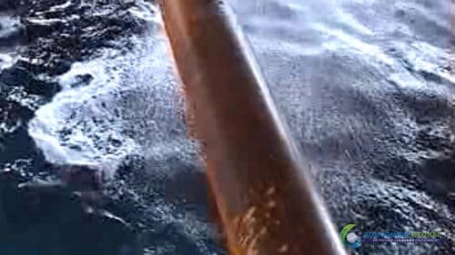 AQUAQUICK 2000 Sea Oil Spill Rig Cleaning Demo 1 051