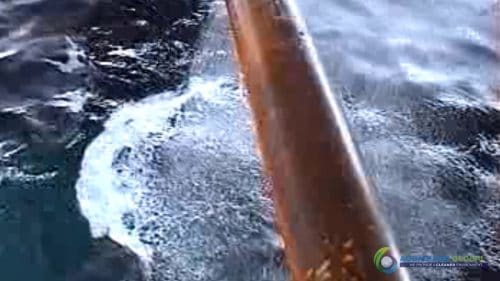 AQUAQUICK 2000 Sea Oil Spill Rig Cleaning Demo 1 053