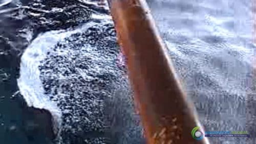 AQUAQUICK 2000 Sea Oil Spill Rig Cleaning Demo 1 055