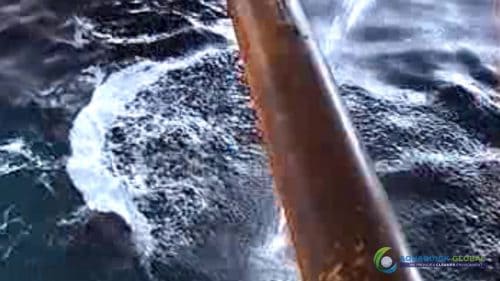 AQUAQUICK 2000 Sea Oil Spill Rig Cleaning Demo 1 056