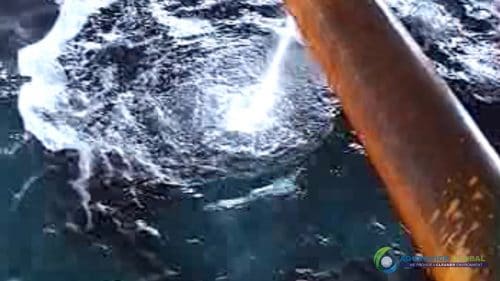 AQUAQUICK 2000 Sea Oil Spill Rig Cleaning Demo 1 057