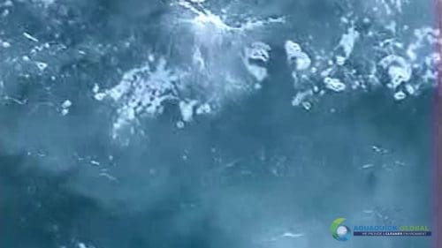 AQUAQUICK 2000 Sea Oil Spill Rig Cleaning Demo 1 077