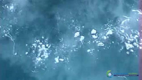 AQUAQUICK 2000 Sea Oil Spill Rig Cleaning Demo 1 078