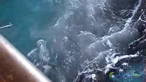 AQUAQUICK 2000 Sea Oil Spill Rig Cleaning Demo 1 087