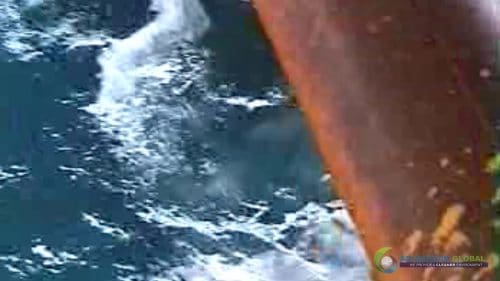 AQUAQUICK 2000 Sea Oil Spill Rig Cleaning Demo 1 093