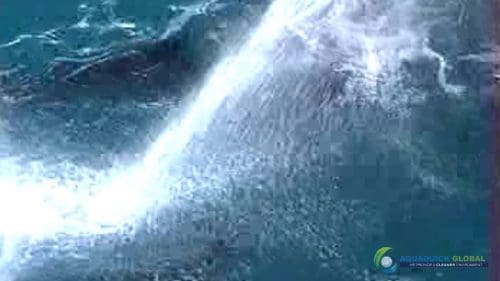 AQUAQUICK 2000 Sea Oil Spill Rig Cleaning Demo 1 095