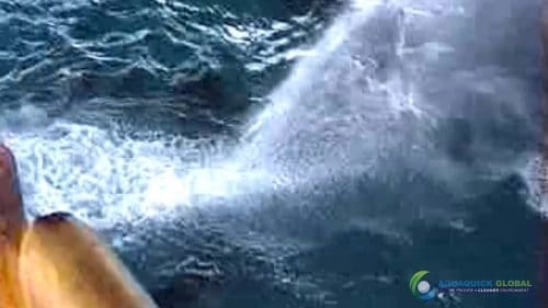 AQUAQUICK 2000 Sea Oil Spill Rig Cleaning Demo 1 096