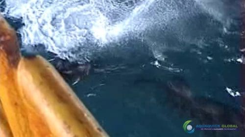 AQUAQUICK 2000 Sea Oil Spill Rig Cleaning Demo 1 098