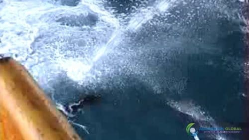 AQUAQUICK 2000 Sea Oil Spill Rig Cleaning Demo 1 100