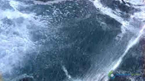 AQUAQUICK 2000 Sea Oil Spill Rig Cleaning Demo 1 101