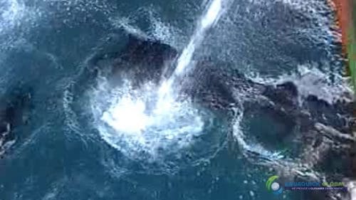 AQUAQUICK 2000 Sea Oil Spill Rig Cleaning Demo 1 102