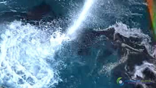 AQUAQUICK 2000 Sea Oil Spill Rig Cleaning Demo 1 104