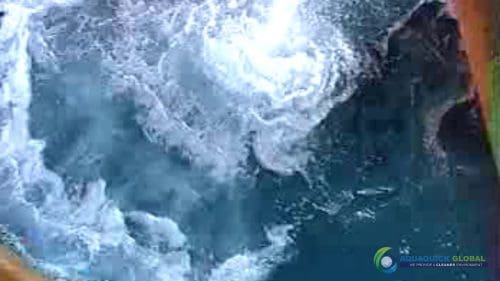 AQUAQUICK 2000 Sea Oil Spill Rig Cleaning Demo 1 106