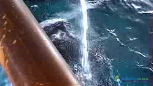 AQUAQUICK 2000 Sea Oil Spill Rig Cleaning Demo 1 113