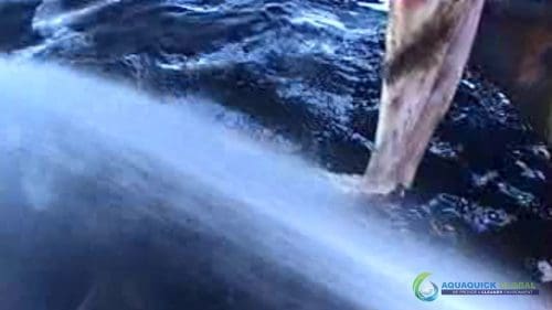 "AQUAQUICK 2000" naftos išsiliejimo jūroje platformos valymo demonstracinė versija 2 021