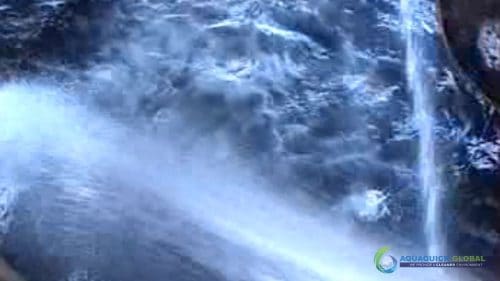 "AQUAQUICK 2000" naftos išsiliejimo jūroje platformos valymo demonstracinė versija 2 033