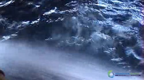 "AQUAQUICK 2000" naftos išsiliejimo jūroje platformos valymo demonstracinė versija 2 041