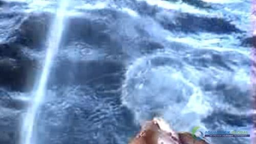 "AQUAQUICK 2000" naftos išsiliejimo jūroje platformos valymo demonstracinė versija 2 044