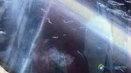 "AQUAQUICK 2000" naftos išsiliejimo jūroje platformos valymo demonstracinė versija 2 054