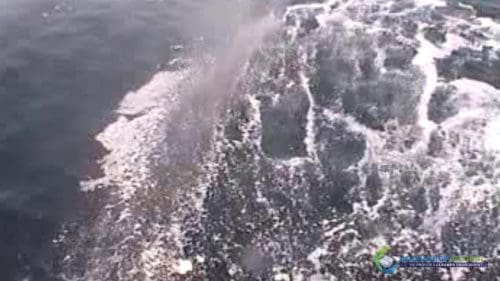 "AQUAQUICK 2000" naftos išsiliejimo jūroje platformos valymo demonstracinė versija 2 068