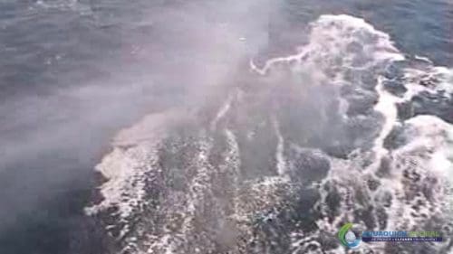 "AQUAQUICK 2000" naftos išsiliejimo jūroje platformos valymo demonstracinė versija 2 069