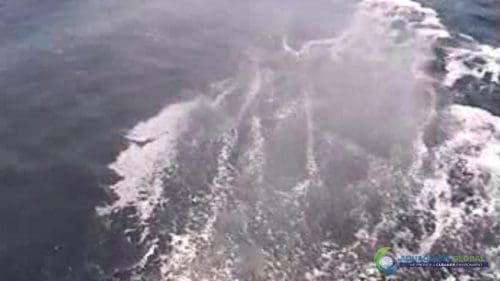 "AQUAQUICK 2000" naftos išsiliejimo jūroje platformos valymo demonstracinė versija 2 070