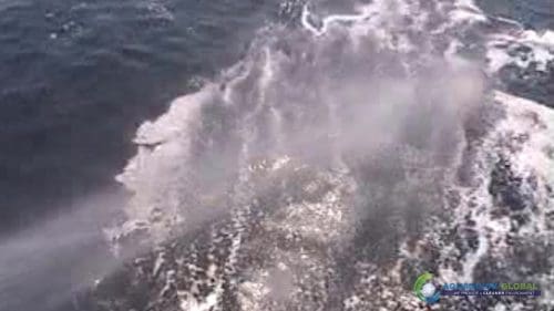 "AQUAQUICK 2000" naftos išsiliejimo jūroje platformos valymo demonstracinė versija 2 071