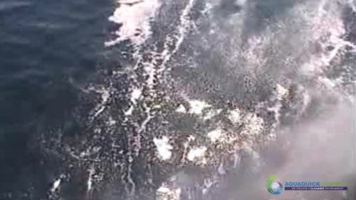 "AQUAQUICK 2000" naftos išsiliejimo jūroje platformos valymo demonstracinė versija 2 075