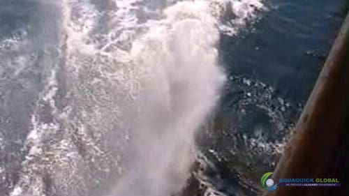 "AQUAQUICK 2000" naftos išsiliejimo jūroje platformos valymo demonstracinė versija 2 078