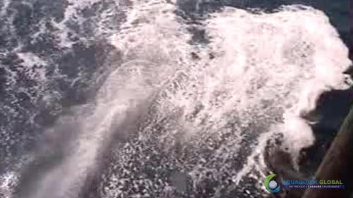 "AQUAQUICK 2000" naftos išsiliejimo jūroje platformos valymo demonstracinė versija 2 086