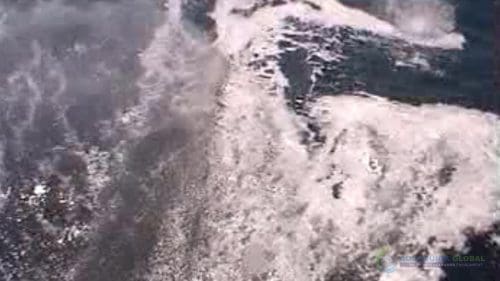 "AQUAQUICK 2000" naftos išsiliejimo jūroje platformos valymo demonstracinė versija 2 089