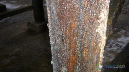 AQUAQUICK 2000 Sime Darby Cleanup Demo 017