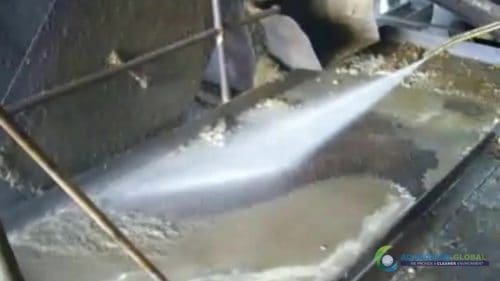 AQUAQUICK 2000 Sime Darby Cleanup Demo 040