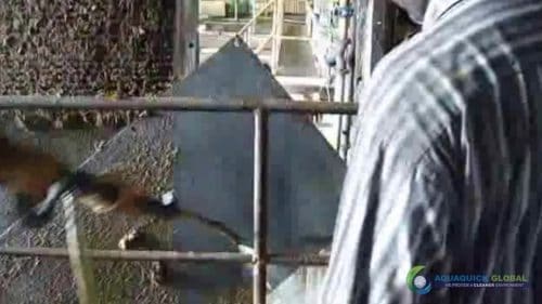 AQUAQUICK 2000 Sime Darby Cleanup Demo 069