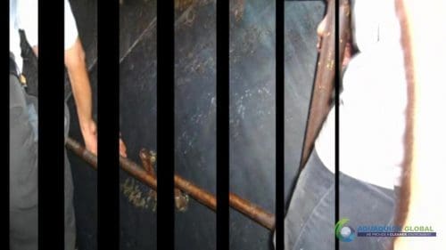 AQUAQUICK 2000 Sime Darby Cleanup Demo 081