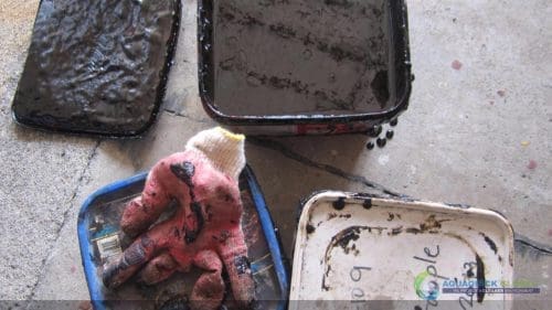 Demonstracja mycia gleby AQUAQUICK 2000 w Petron 17