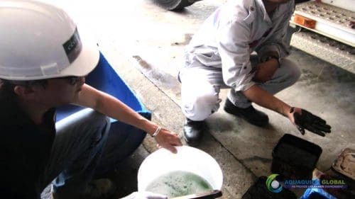 Demonstracja mycia gleby AQUAQUICK 2000 w Petron 26