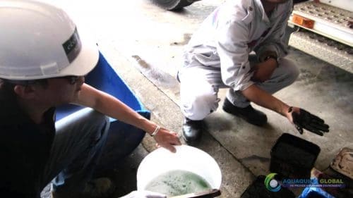 Demonstracja mycia gleby AQUAQUICK 2000 w Petron 28