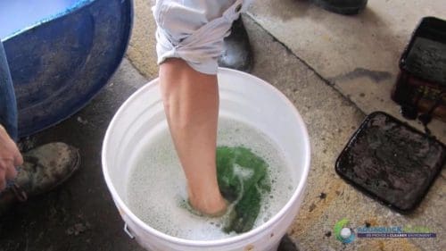 Demonstracja mycia gleby AQUAQUICK 2000 w Petron 33