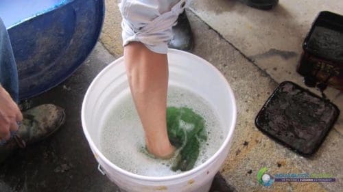 Demonstracja mycia gleby AQUAQUICK 2000 w Petron 34