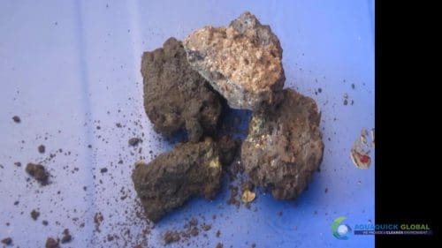 Demonstracja mycia gleby AQUAQUICK 2000 w Petron 43