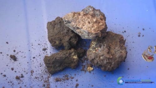 Demonstracja mycia gleby AQUAQUICK 2000 w Petron 45