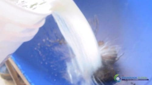 Demonstracja mycia gleby AQUAQUICK 2000 w Petron 48