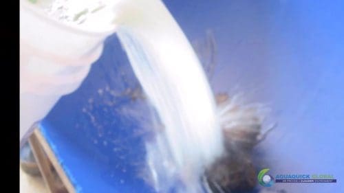 Demonstracja mycia gleby AQUAQUICK 2000 w Petron 49