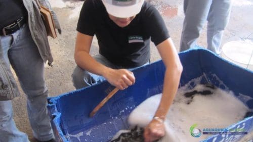 Demonstracja mycia gleby AQUAQUICK 2000 w Petron 52