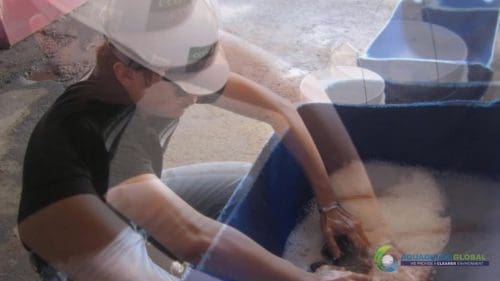 AQUAQUICK 2000 Soil Washing Demo at Petron 56